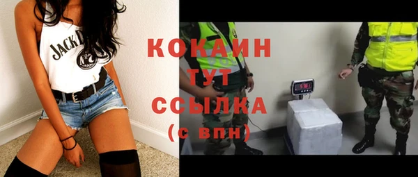 гидра Медвежьегорск